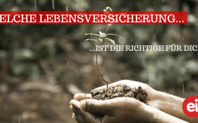 Gemischte, Fonds oder Garantie – welche Lebensversicherung ist die richtige für dich.