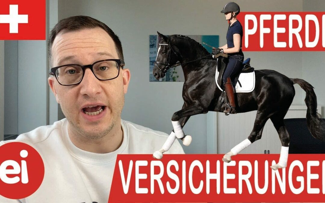 Wie versichere ich mein Pferd?